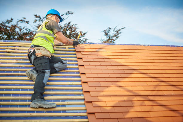 Best Roof Moss and Algae Removal  in Wilton Center, CT